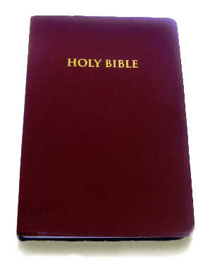 Welcome to BibleDice.com | Random Scripture Generator | Random Bible | Scripture of Day